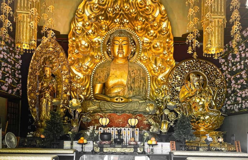 Tokyo: Day Trip to Kamakura in Spanish - Spanish - Getting to Kamakura: Tokyo Station to tram-to-temple flow