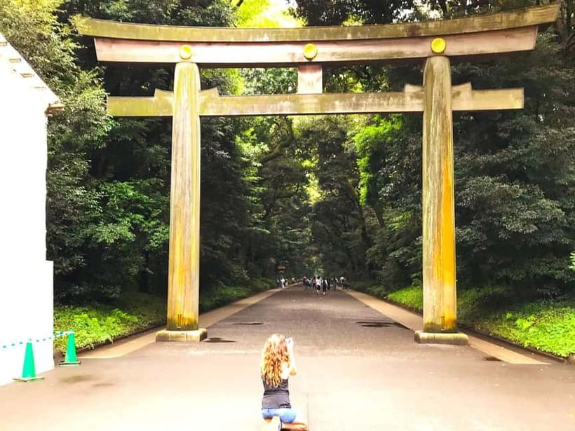 Tokyo: Full Course Tour: Explore 15 Must-Sees & Hidden Gems - Key highlights