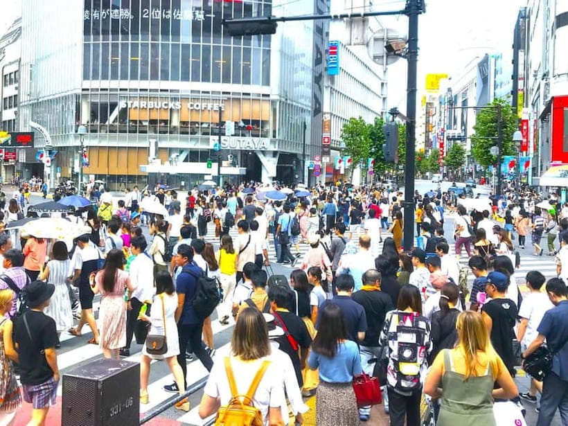 Tokyo: Full Course Tour: Explore 15 Must-Sees & Hidden Gems - Akihabara, Ueno Park, and Ameyoko: Tech, Art, and Street-Level Tokyo