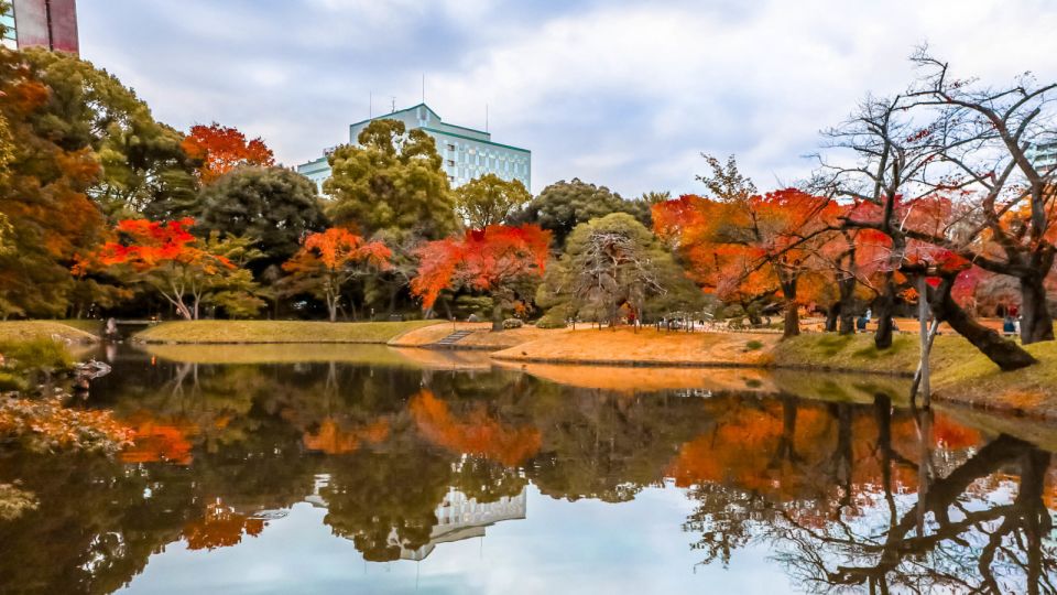 Tokyo: Full-Day Japanese Garden Private Guided Tour - Entering Tokyo gardens with a real plan, not a map maze