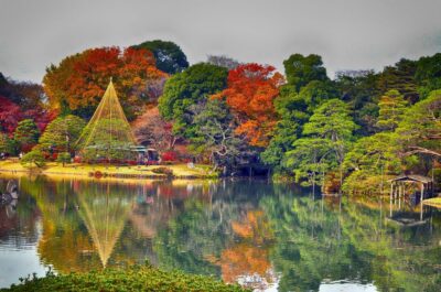 Tokyo: Full-Day Japanese Garden Private Guided Tour - Meeting your guide: pickup timing that actually helps