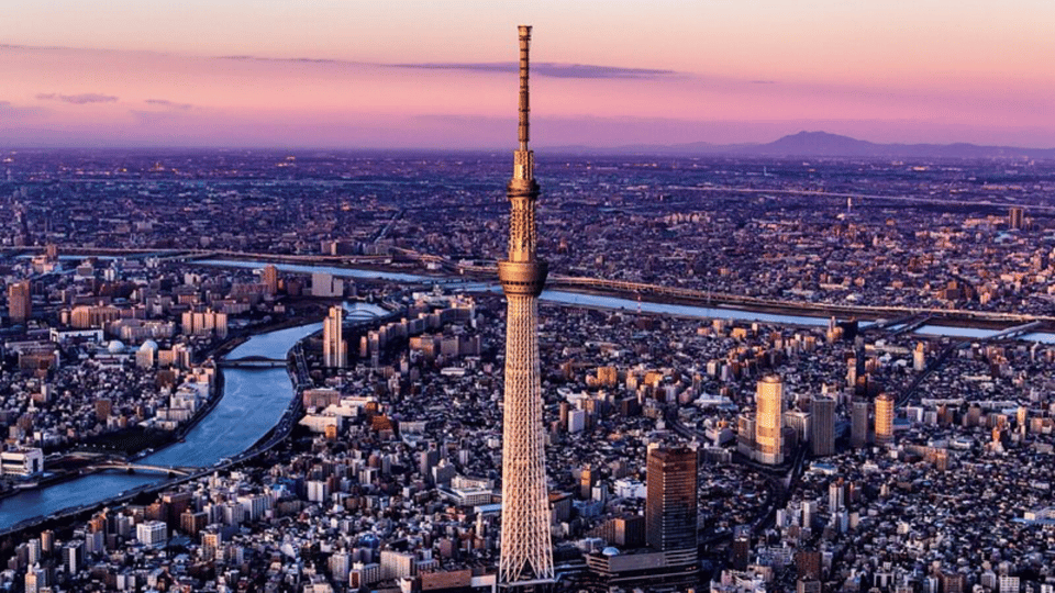 Tokyo Full day Private Customized Tour with English Driver - Key highlights worth planning around