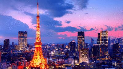 Tokyo Full day Private Customized Tour with English Driver - Tsukiji Fish Market: where you can shop, eat, and learn
