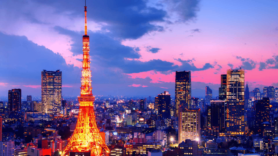Tokyo Full day Private Customized Tour with English Driver - Tsukiji Fish Market: where you can shop, eat, and learn