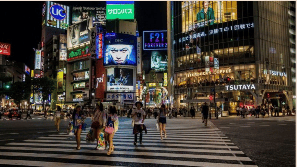 Tokyo full day private tour with Guide - Luxury transportation and the guide question: what you should confirm before you book