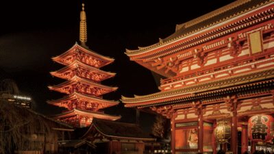 Tokyo full day private tour with Guide - Tsukiji Fish Market: why a guided hour is worth it