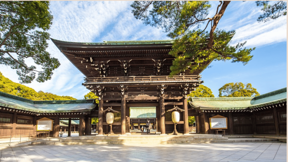 Tokyo full day private tour with Guide - Meiji Jingu forest shrine: the Tokyo contrast that actually helps