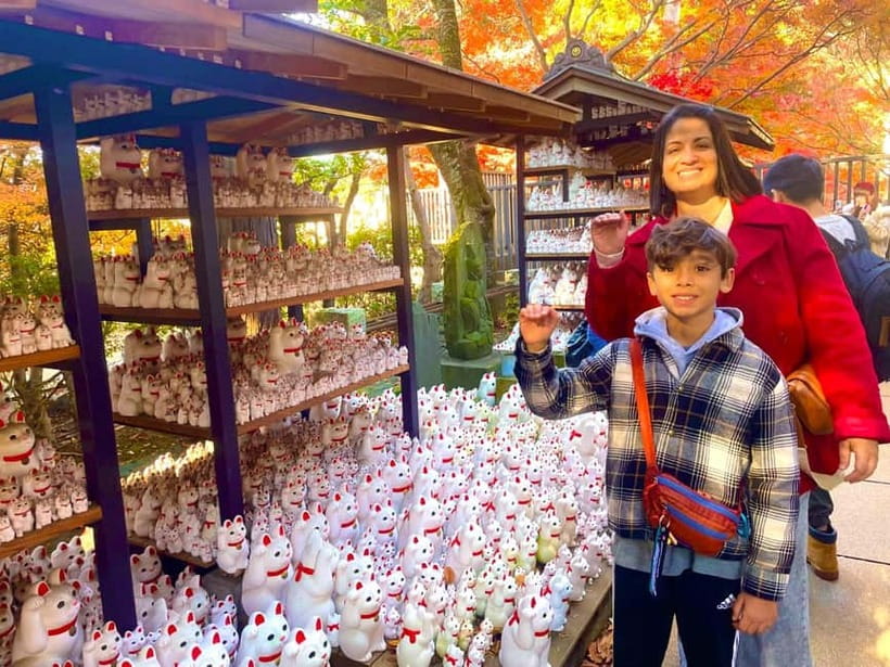 Tokyo: Gotokuji Cat Temple, Shinjuku Cat Cafe & 3D Cat Tour - Cat Cafe Mocha Lounge: Why the 30 Minutes Matter