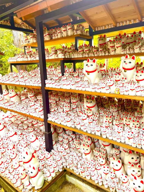 Tokyo: Gotokuji Cat Temple, Shinjuku Cat Cafe & 3D Cat Tour - Shinjuku’s Giant 3D Cat Photo Stop: Fast, Fun, and Useful