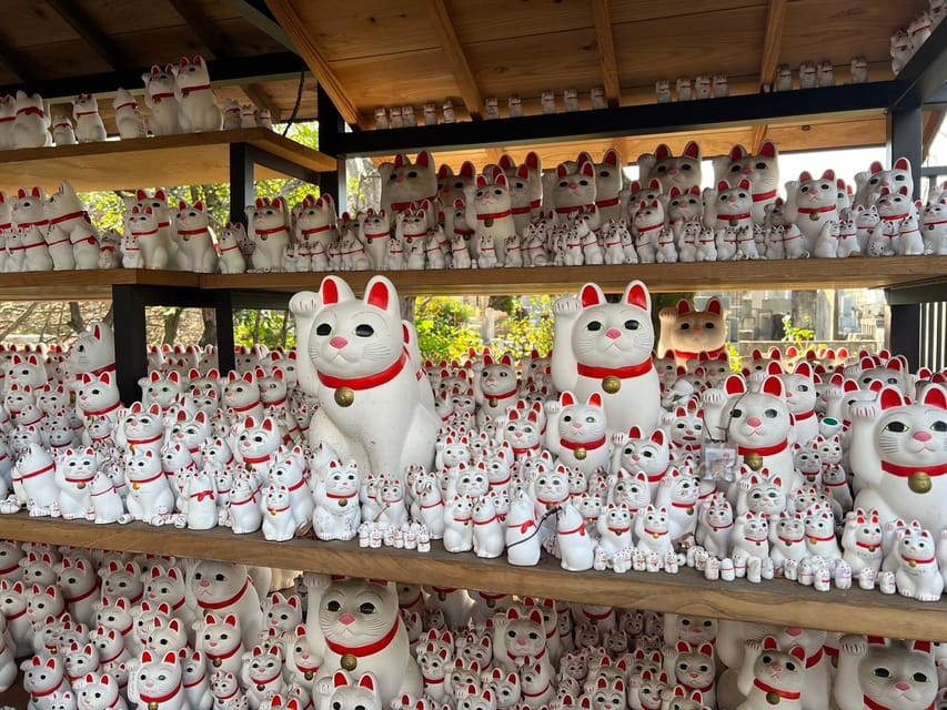 Tokyo: Gotokuji Culture Walk & Lucky Cat Temple Experience - Who This Tour Fits (and Who Might Prefer Something Else)
