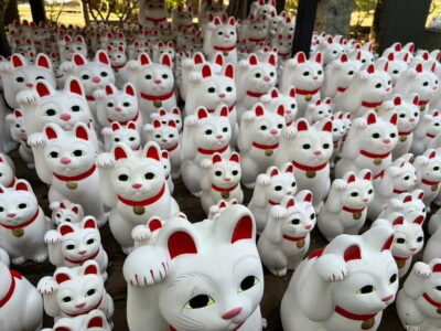 Tokyo: Gotokuji Culture Walk & Lucky Cat Temple Experience - Why Manekineko Luck Feels So Practical in Japan