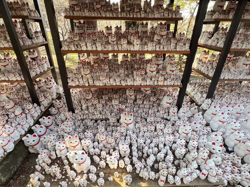 Tokyo: Gotokuji Culture Walk & Lucky Cat Temple Experience - The Guided Walk: Learn the Meaning Behind Each Cat Wish