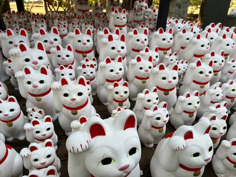 Tokyo: Gotokuji Culture Walk & Lucky Cat Temple Experience - Why Manekineko Luck Feels So Practical in Japan