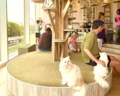 Tokyo: Gotokuji Lucky Cat Temple & Harajuku Cat Cafe Tour - The train hop and the cat stamp moment that keeps things fun