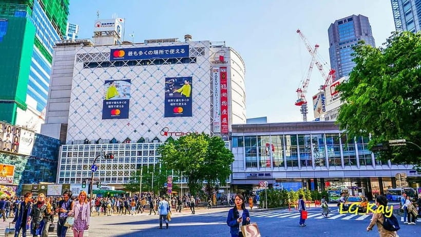 Tokyo: Guided Exploration with a Private Driver - Why a private 10-hour Tokyo driver beats winging it