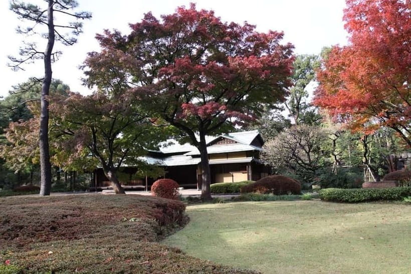 Tokyo: Guided Exploration with a Private Driver - Midday sightseeing block: your chance to connect neighborhoods