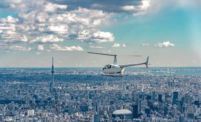 Tokyo: Guided Helicopter Ride - Extending farther: Fuji/Hakone, Yokohama, and Enoshima