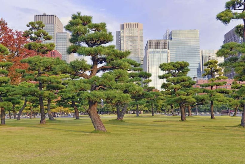 Tokyo: Half-Day Morning Small Group Tour - Sensō-ji Temple (about 1 hour): the landmark, plus what to notice