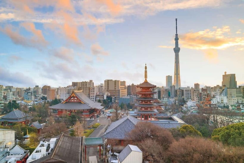 Tokyo: Half-Day Morning Small Group Tour - Group pacing and what to pack for a comfortable walk