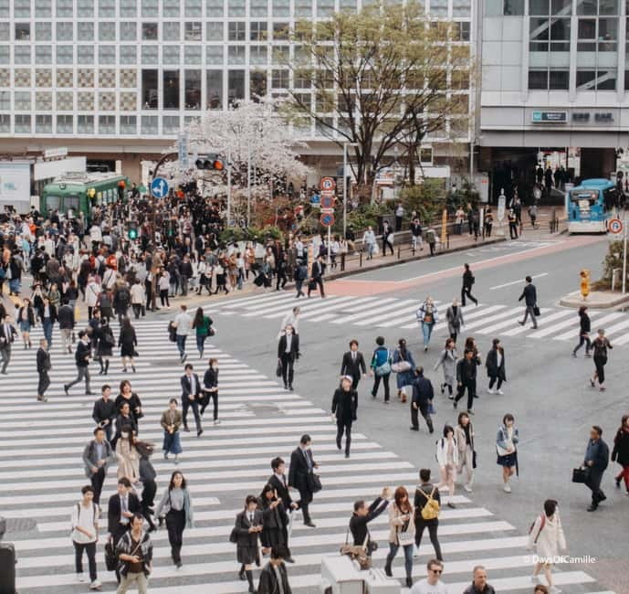 Tokyo, half day : private tour with an expert ! - Key Takeaways Before You Go