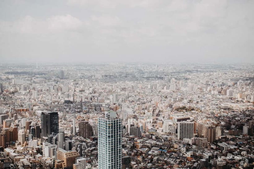 Tokyo, half day : private tour with an expert ! - A Four-Hour Tokyo Route That Actually Fits