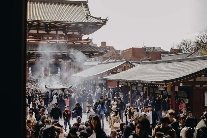 Tokyo, half day : private tour with an expert ! - Meiji Shrine and the Forest Reset You Didn’t Know You Needed