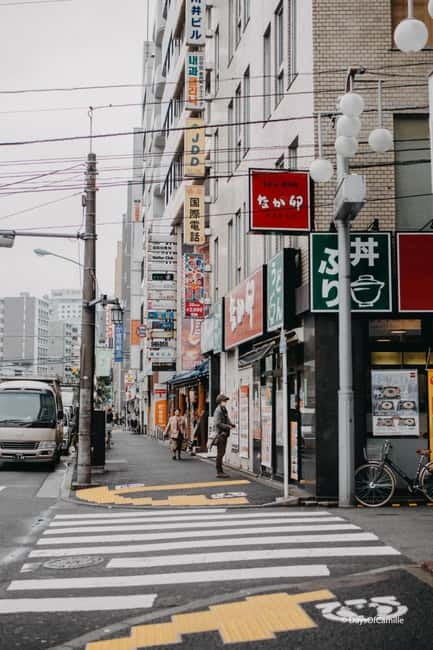 Tokyo, half day : private tour with an expert ! - What the Guide Actually Does (Besides Show Up)