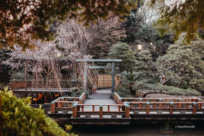 Tokyo, half day : private tour with an expert ! - Included vs. Not Included: Plan Your Half Day Budget