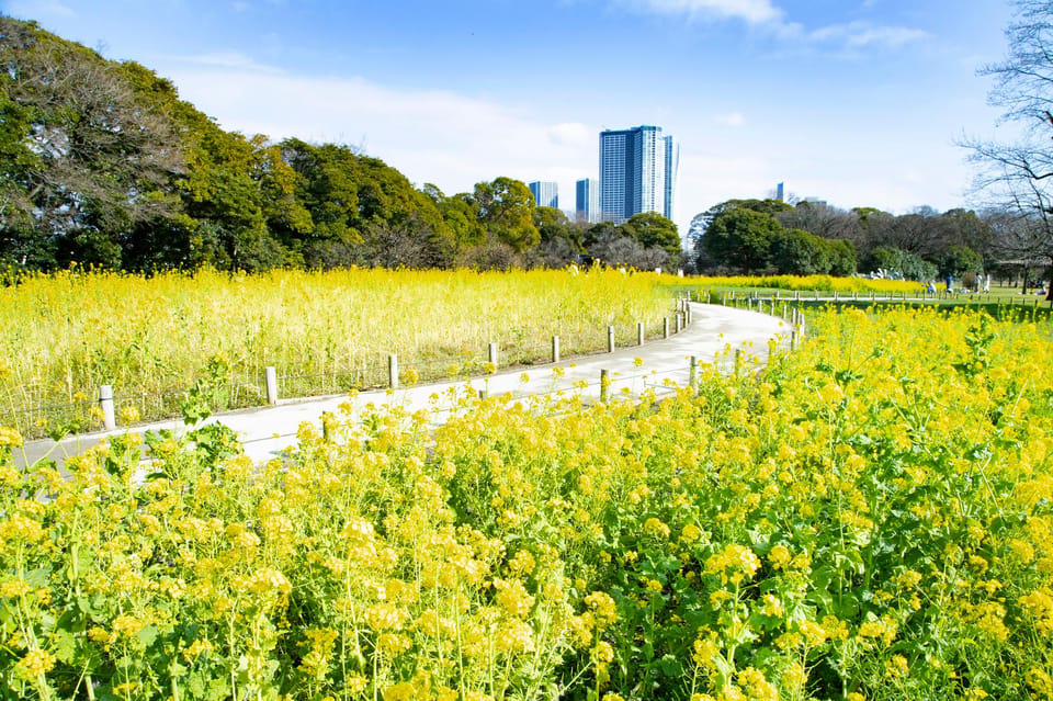 Tokyo: Hama-rikyu Gardens tour with Japanese Tea & Sweets - Getting There: Otemon Bridge Start, Shiodome Drop-Off