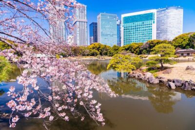 Tokyo: Hama-rikyu Gardens tour with Japanese Tea & Sweets - Guided Walk: Karesansui and Kaiyushiki, Explained Simply