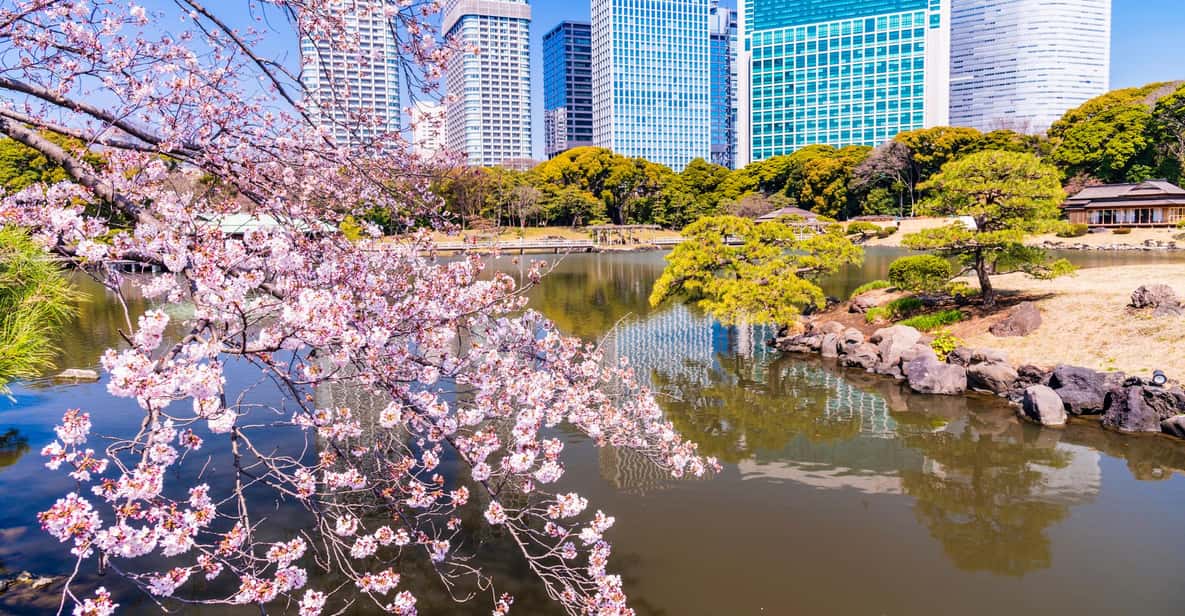 Tokyo: Hama-rikyu Gardens tour with Japanese Tea & Sweets - Tea Ceremony Room: Matcha and Sweets With a View