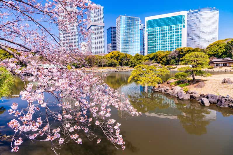 Tokyo: Hama-rikyu Gardens tour with Japanese Tea & Sweets - Practical Tips: Footwear, Pacing, and Photo Timing