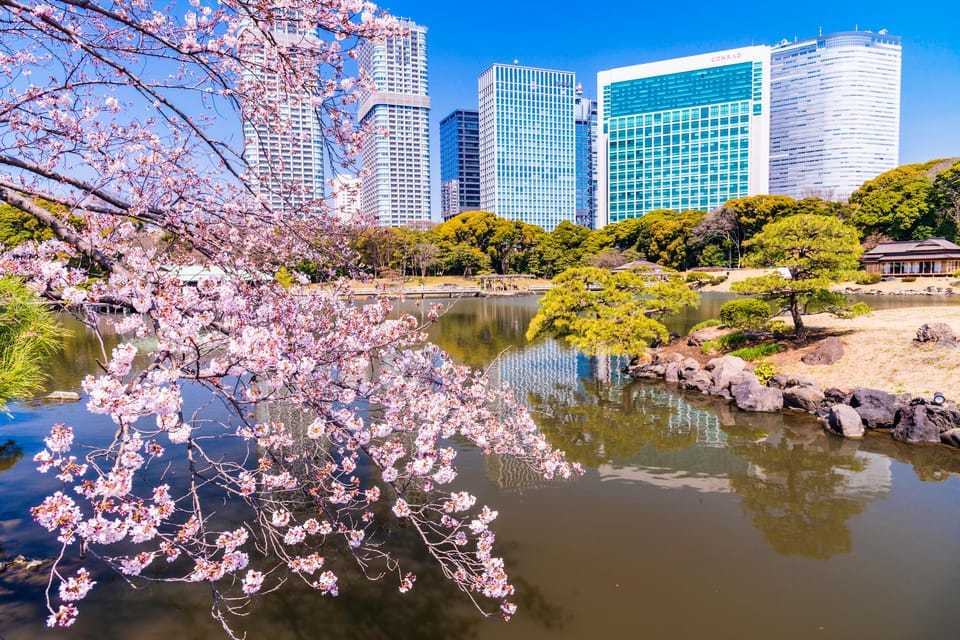 Tokyo: Hama-rikyu Gardens tour with Japanese Tea & Sweets - Guided Walk: Karesansui and Kaiyushiki, Explained Simply