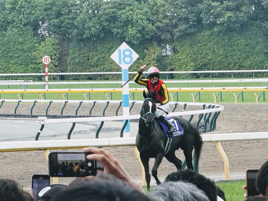Tokyo: Horse Racing Tour with Local Fan - Tokyo Horse Racing With Local Fan Energy: What Makes It Worth Your Time