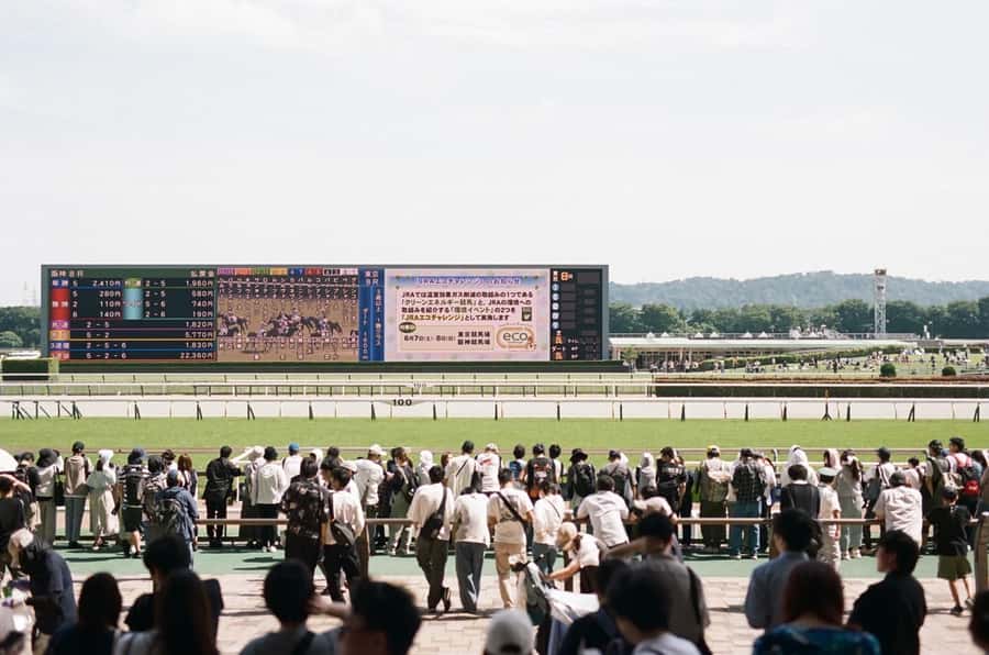 Tokyo: Horse Racing Tour with Local Fan - What Happens After You Enter: How Race Day Moves