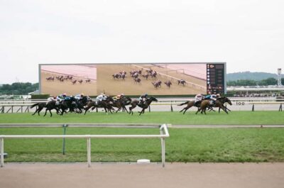 Tokyo: Horse Racing Tour with Local Fan - Meeting Up, Getting Your Reserved Seat, and Finding the Right Track