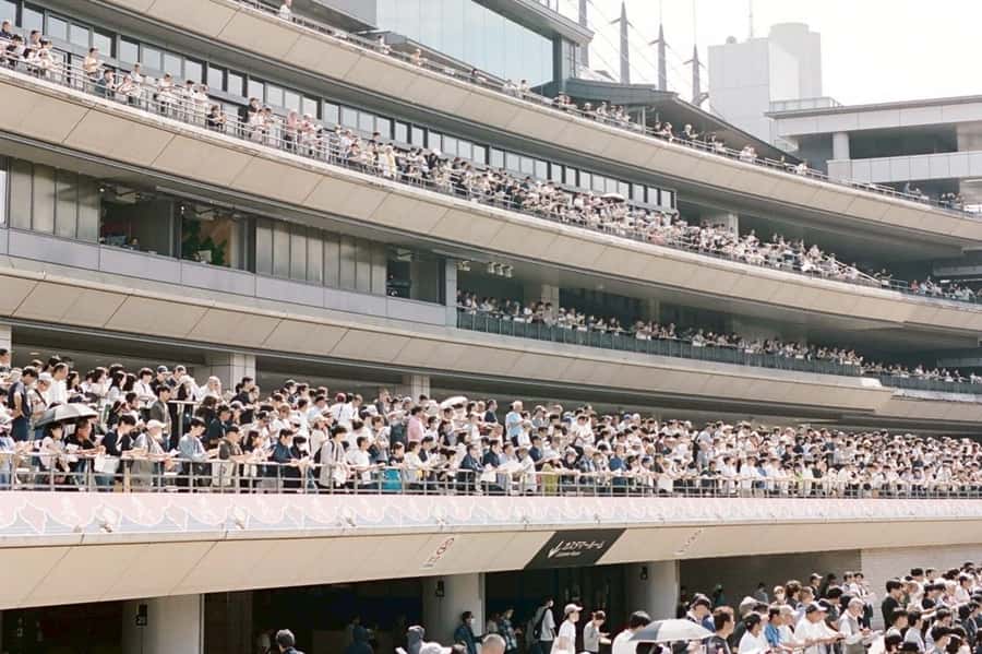 Tokyo: Horse Racing Tour with Local Fan - Eito and the Local-Fan Factor: What the Guide Adds