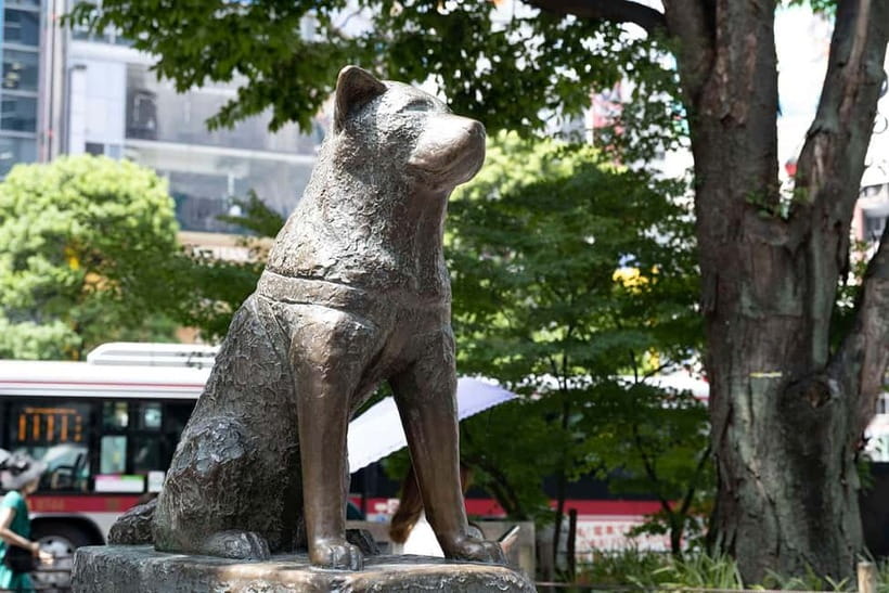 Tokyo: Iconic City Tour – Skytree, Shibuya & Imperial Palace - Meiji Shrine: a calm reset in the center of the day