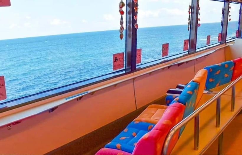 Tokyo: Izu Scenic Oceanview Train, Volcano, Coast Day Trip - Key highlights to notice before you go