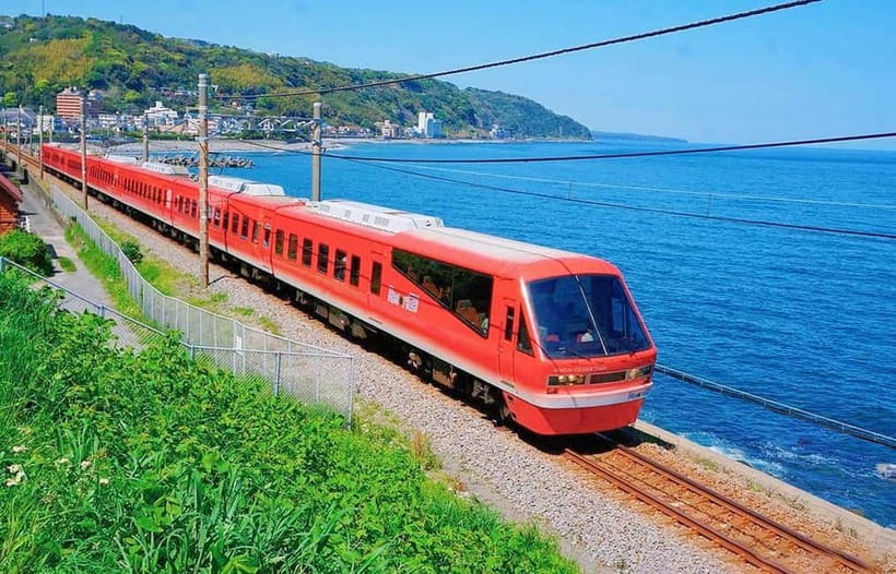 Tokyo: Izu Scenic Oceanview Train, Volcano, Coast Day Trip - Sanity-saving start: 7:00am pickup and a small-group day