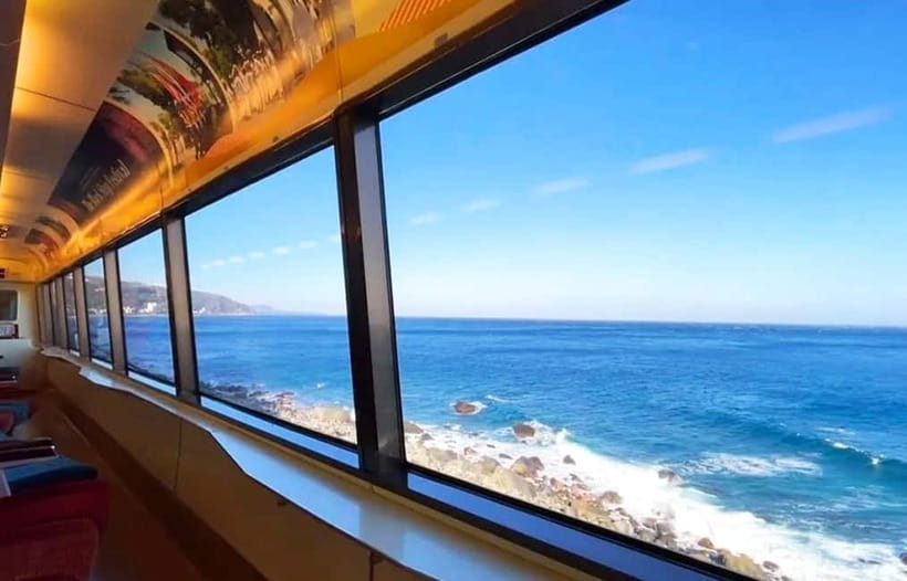 Tokyo: Izu Scenic Oceanview Train, Volcano, Coast Day Trip - Izu Cactus Park: greenhouses, animals, and a DIY souvenir you’ll actually use