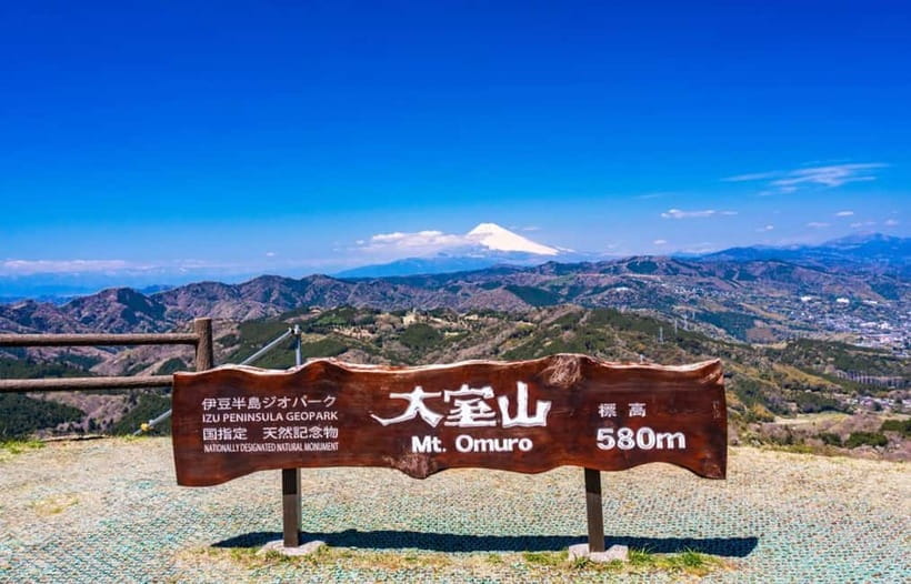 Tokyo: Izu Scenic Oceanview Train, Volcano, Coast Day Trip - Timing, food, and communication: the day can move fast