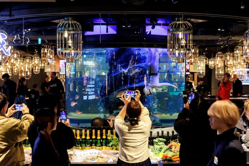 Tokyo: Japanese Experiece Dinner with Diving Ama Performance - AMAJOH’s 20-ton aquarium: the setting for an Ama diver show