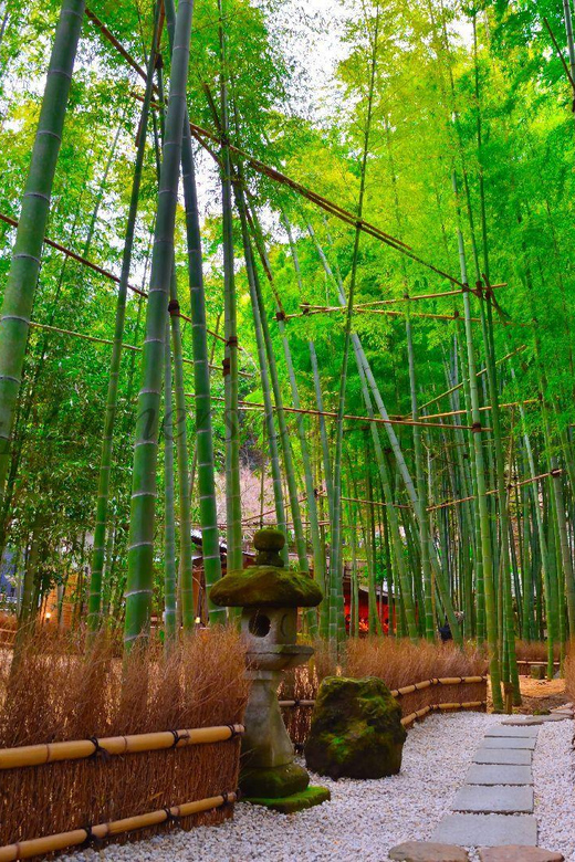 Tokyo: Kamakura Private Tour With Guide - Hokoku-ji bamboo forest: walking time is the whole point