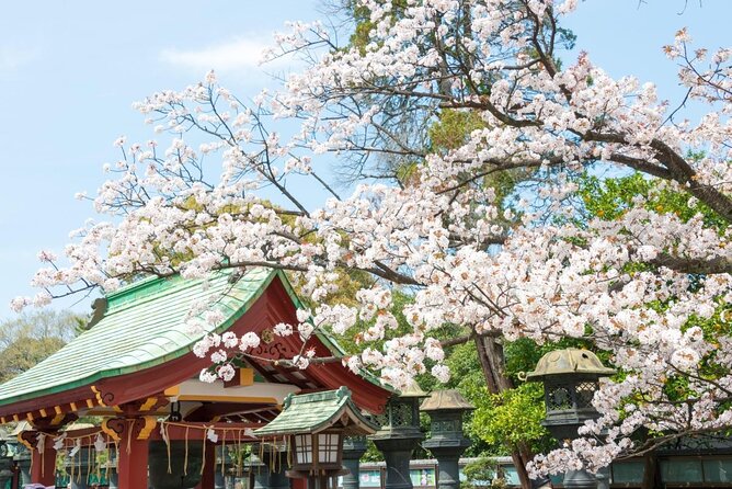 Tokyo Layover Tour with a Local – Private & Tailored to You - Key points to know before you go
