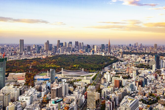 Tokyo Layover Tour with Licensed Guide:Narita Airport Dep - First, The Big Idea: A Tokyo Day Built Around Your Hours