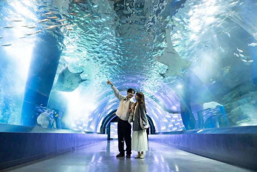 Tokyo: Maxell Aqua Park Shinagawa Direct Entry Ticket - Maxell Aqua Park Shinagawa: close, indoor, and built for a fast plan