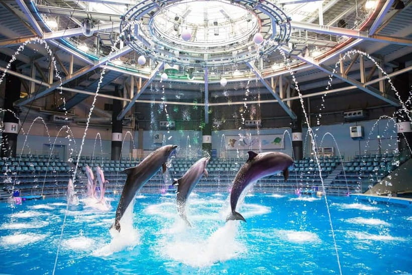 Tokyo: Maxell Aqua Park Shinagawa Direct Entry Ticket - Direct entry works like a shortcut to the fun