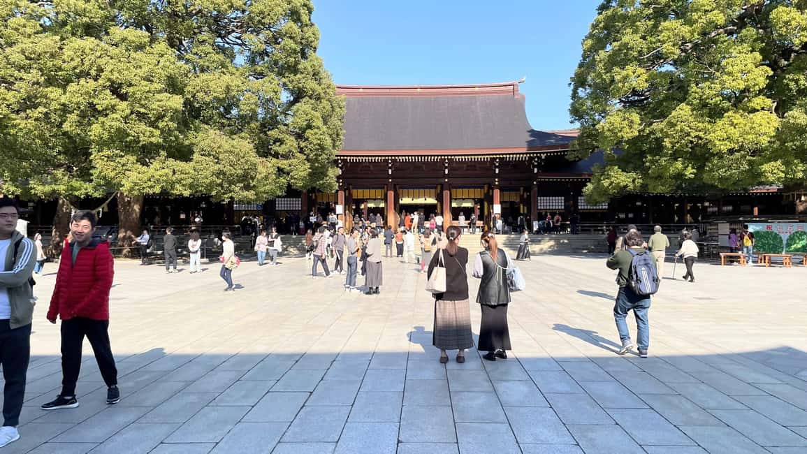 Tokyo: Meiji Jingu, Harajuku, Shibuya, and Shijuku Tour - Key Points to Know Before You Go