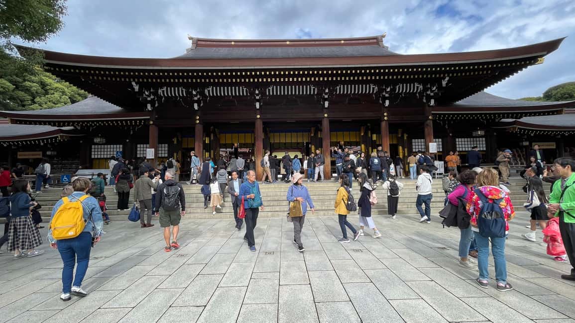 Tokyo: Meiji Jingu, Harajuku, Shibuya, and Shijuku Tour - How Public Transportation Keeps This Tour Efficient